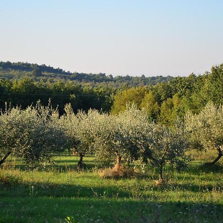 Villa Olivetta By Istrian Country Houses Barat  Εξωτερικό φωτογραφία