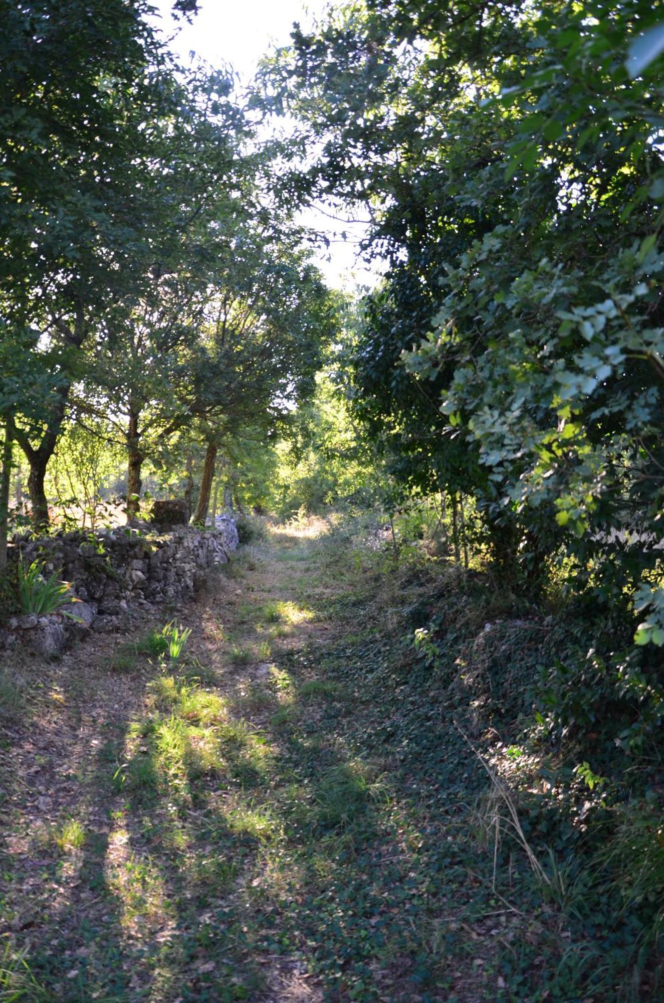 Villa Olivetta By Istrian Country Houses Barat  Εξωτερικό φωτογραφία