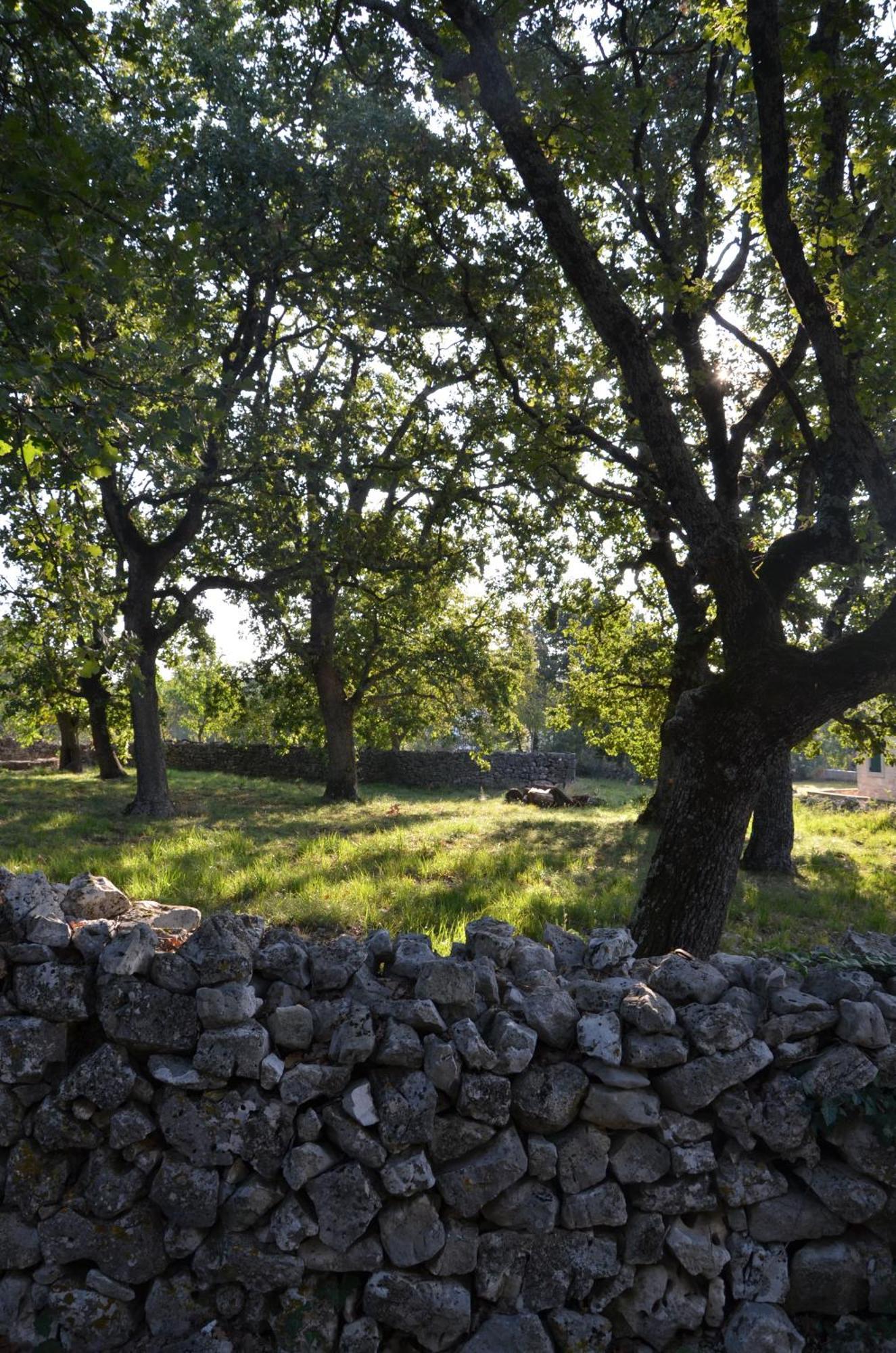 Villa Olivetta By Istrian Country Houses Barat  Εξωτερικό φωτογραφία