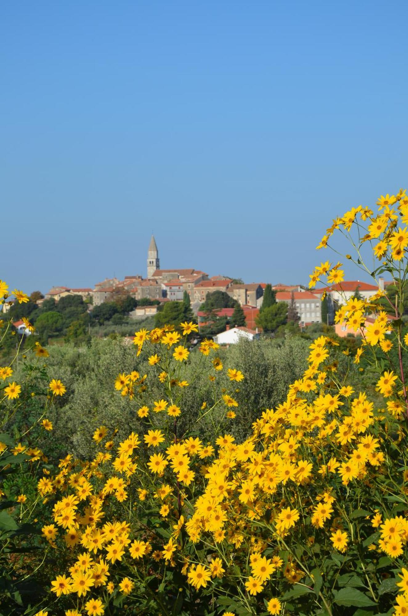 Villa Olivetta By Istrian Country Houses Barat  Εξωτερικό φωτογραφία