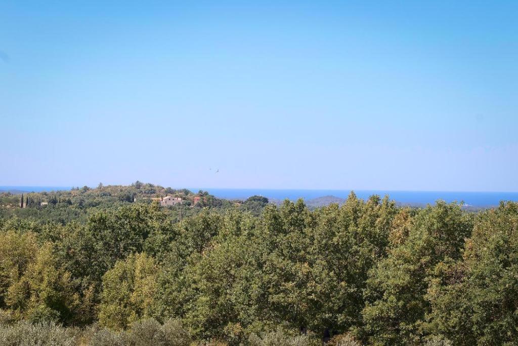Villa Olivetta By Istrian Country Houses Barat  Εξωτερικό φωτογραφία